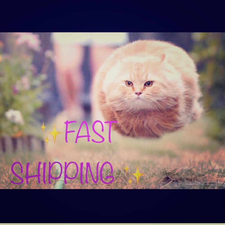 Fast Shipper